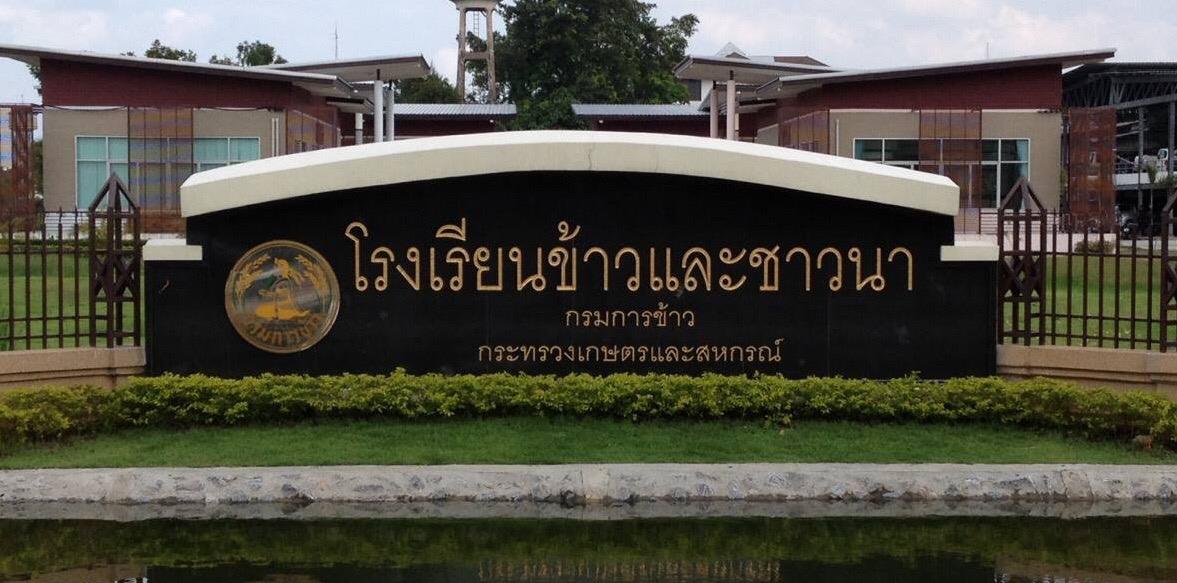 โรงเรียนข้าวและชาวนา