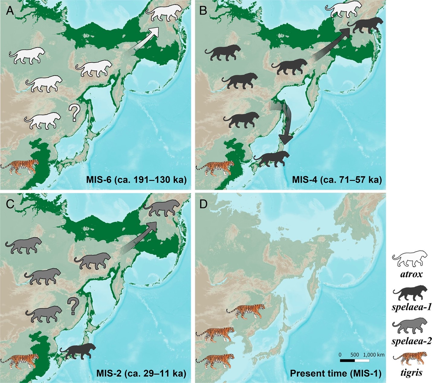 สิงโตถ้ำ