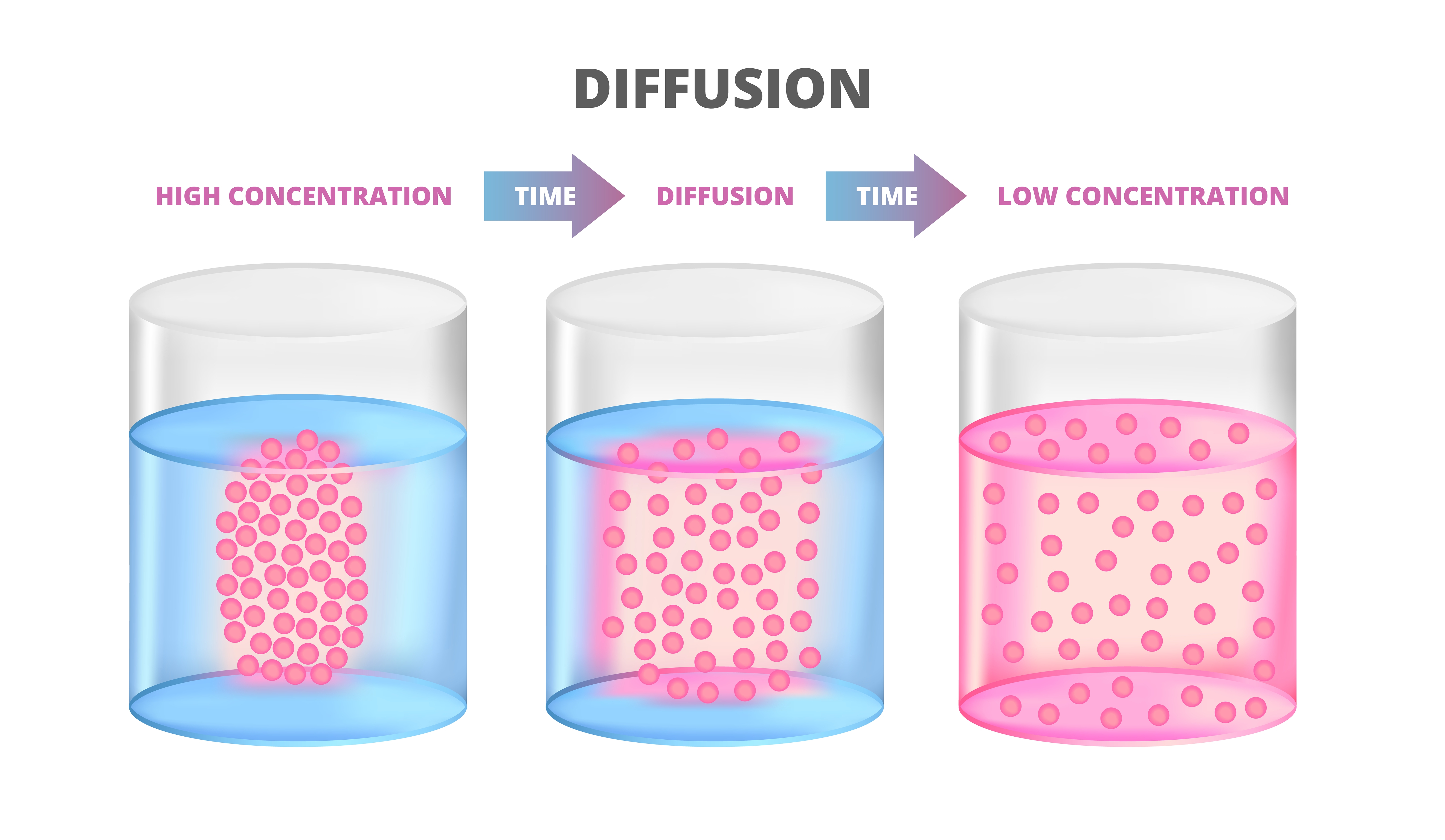 การแพร่ (Diffusion)