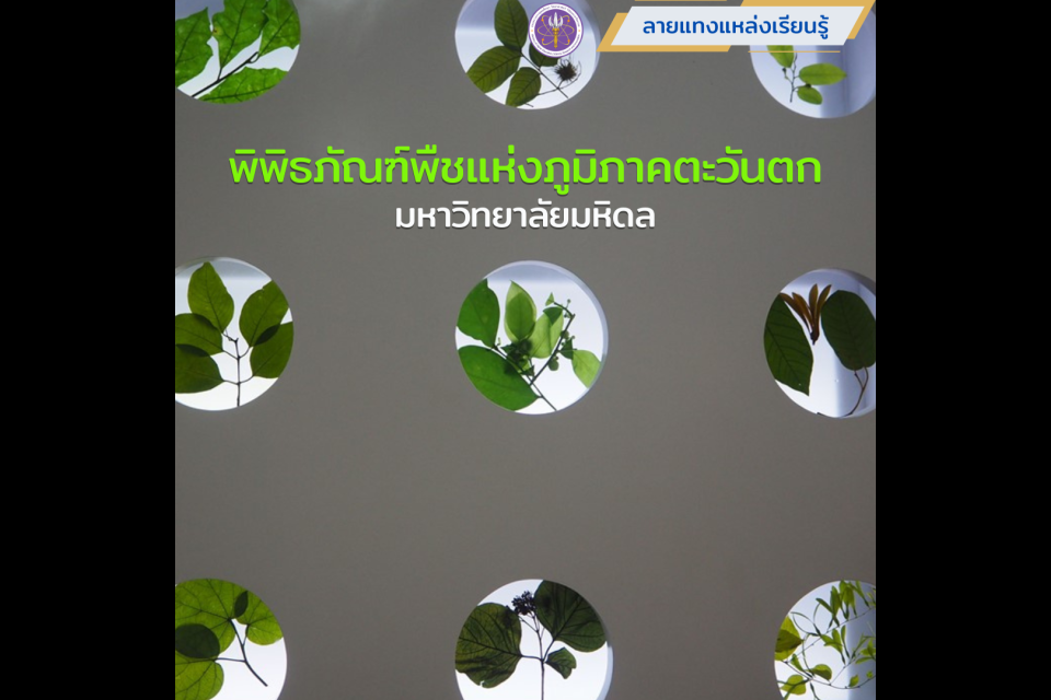 พิพิธภัณฑ์พืชแห่งภูมิภาคตะวันตก