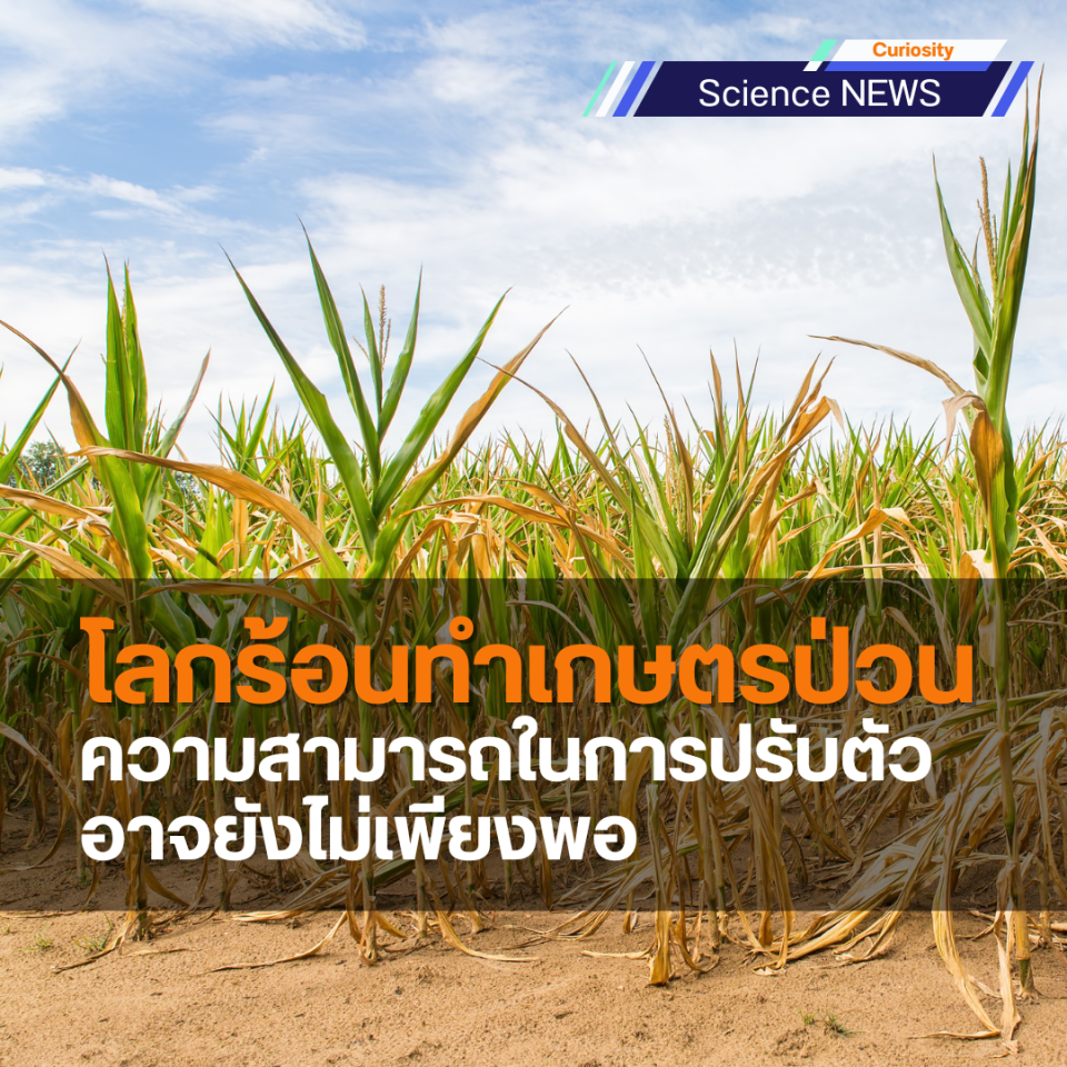 Impacts of climate change on agriculture