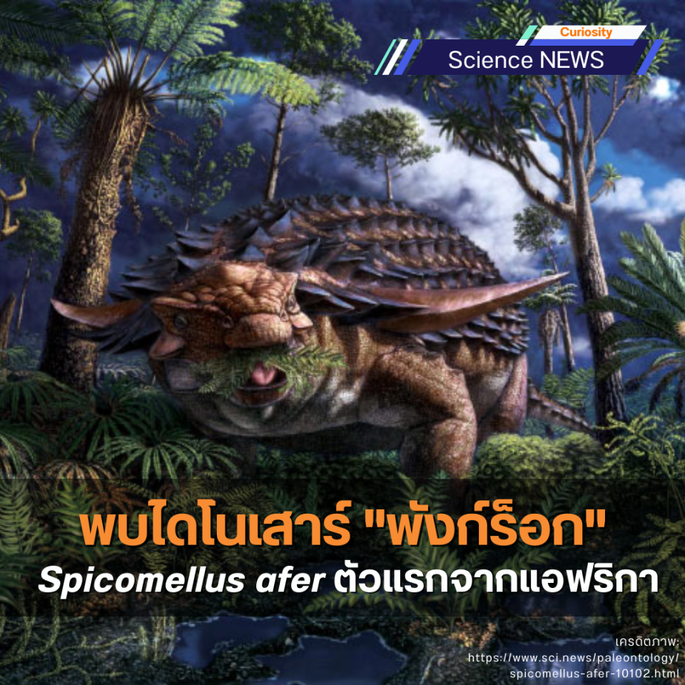 พบไดโนเสาร์ "พังก์ร็อก" Spicomellus afer ตัวแรกจากแอฟริกา
