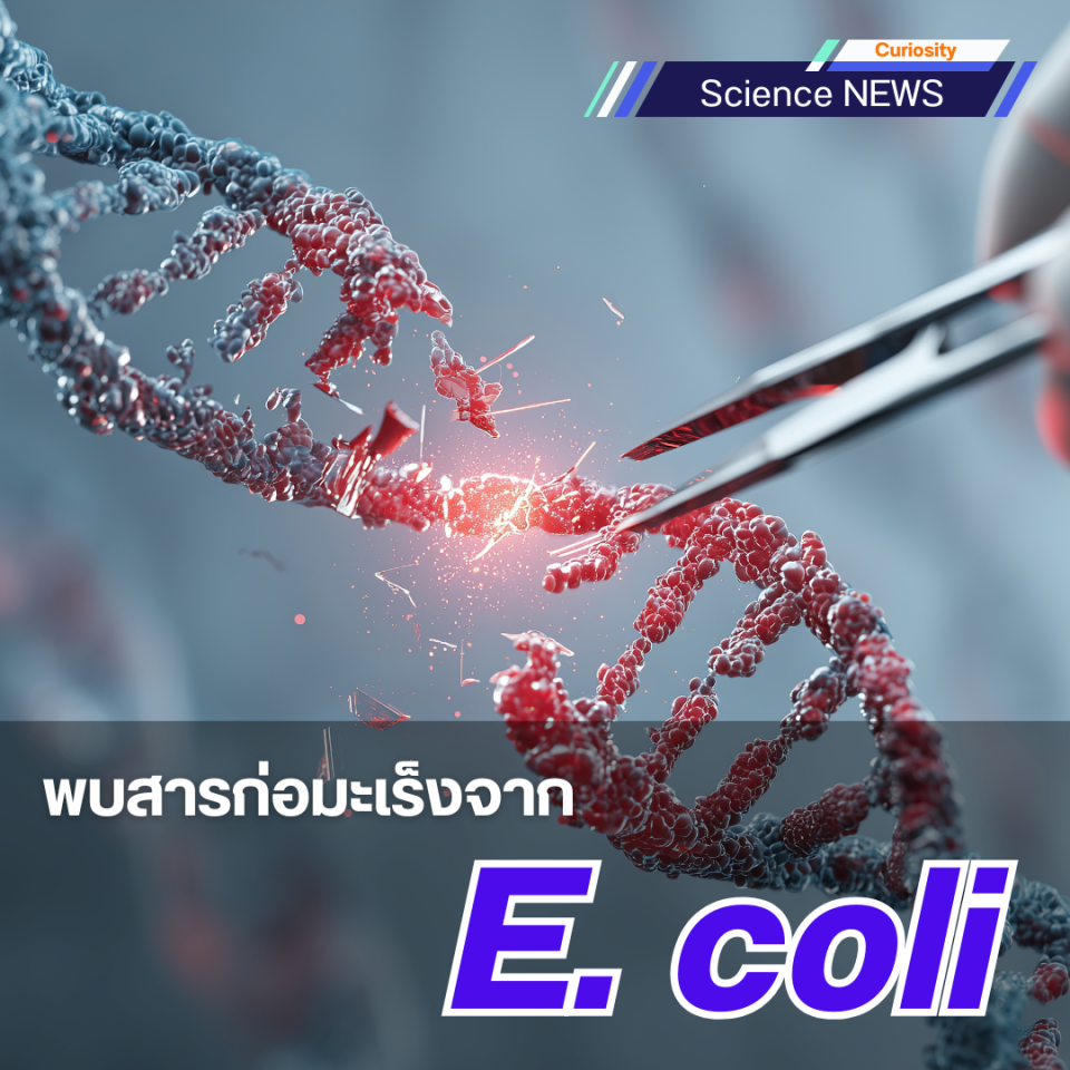พบสารก่อมะเร็งจาก E. coli 