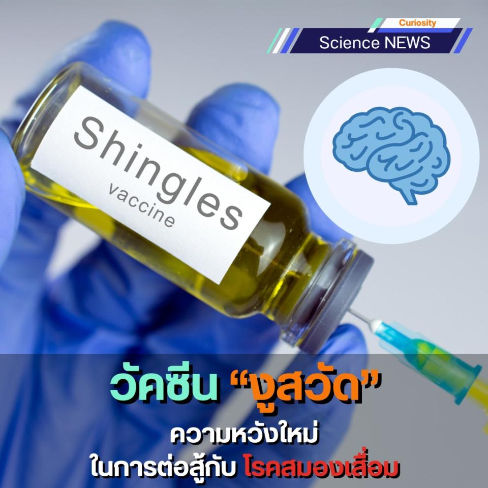 วัคซีน “งูสวัด” ความหวังใหม่ในการต่อสู้กับโรคสมองเสื่อม