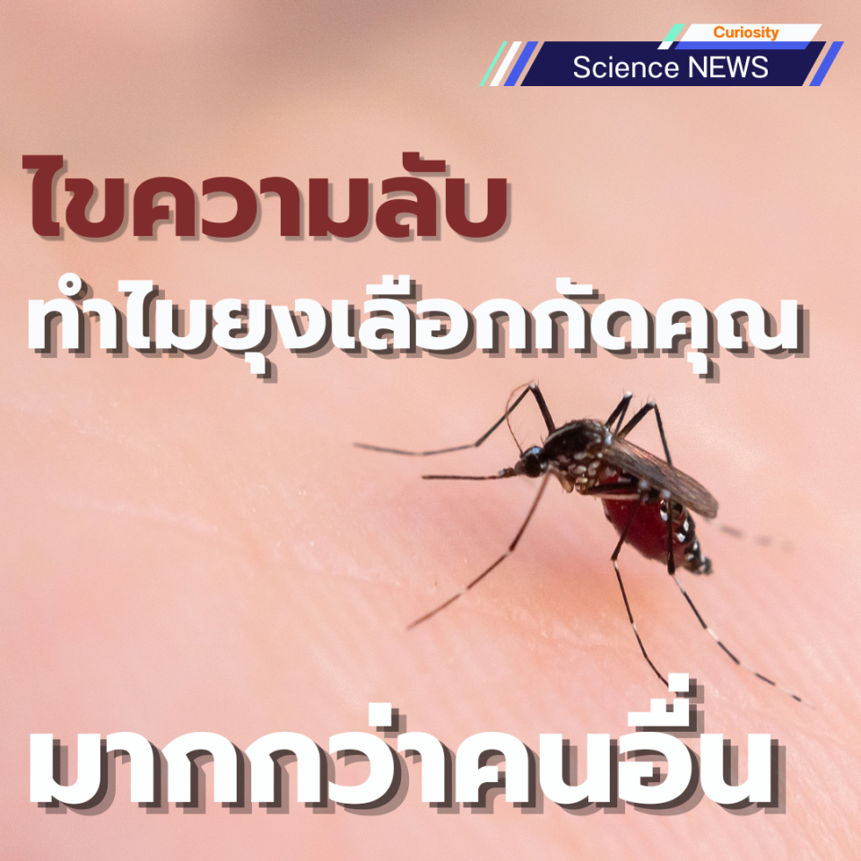 ไขความลับ ทำไมยุงเลือกกัดคุณมากกว่าคนอื่น