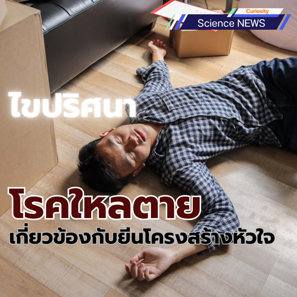 ไขปริศนา โรคใหลตาย เกี่ยวข้องกับยีนโครงสร้างหัวใจ