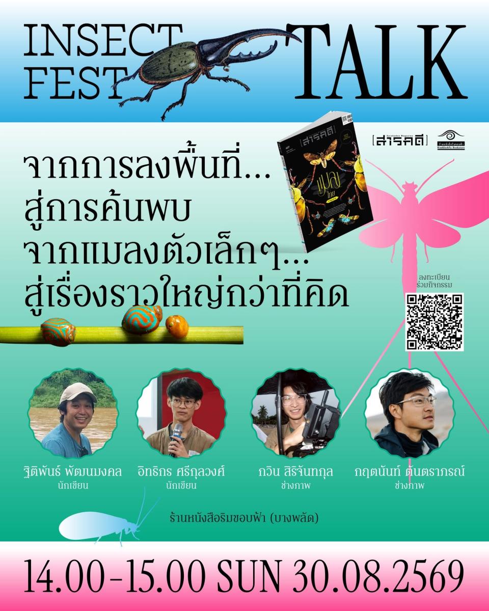Insect Fest 