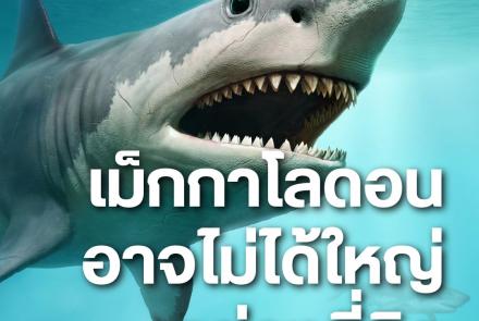 ฉลามยักษ์ Megalodon ฟอสซิล ระบบนิเวศทางทะเล การสูญพันธุ์