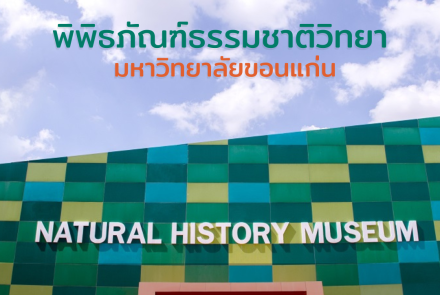 พิพิธภัณฑ์ธรรมชาติวิทยา มหาวิทยาลัยขอนแก่น