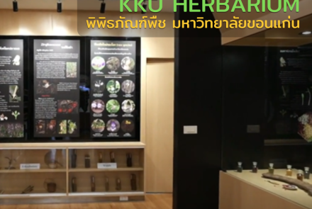 KKU HERBARIUM