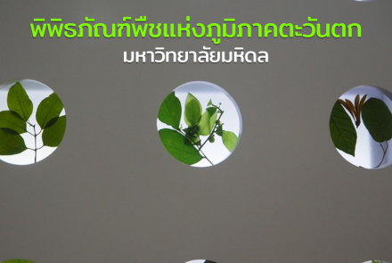 พิพิธภัณฑ์พืชแห่งภูมิภาคตะวันตก