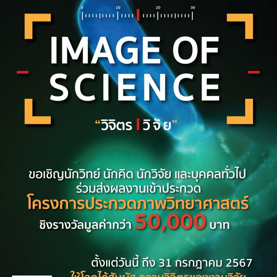 แบนเนอร์ วิจิตร วิจัย 67