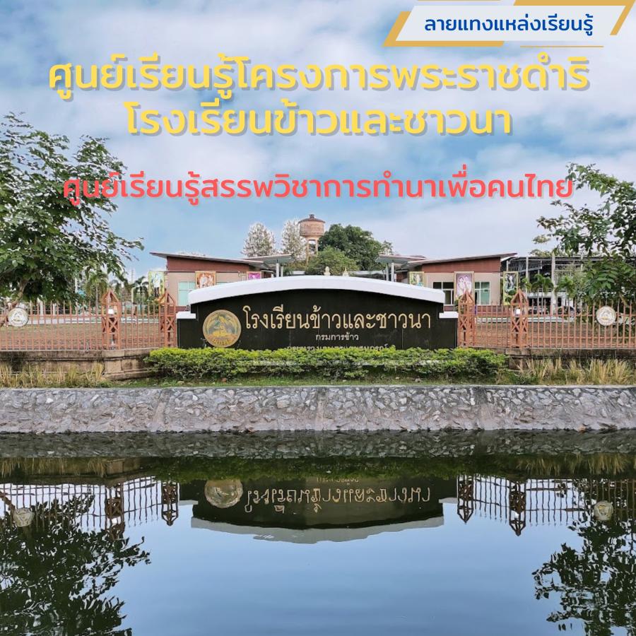 โรงเรียนข้าวและชาวนา