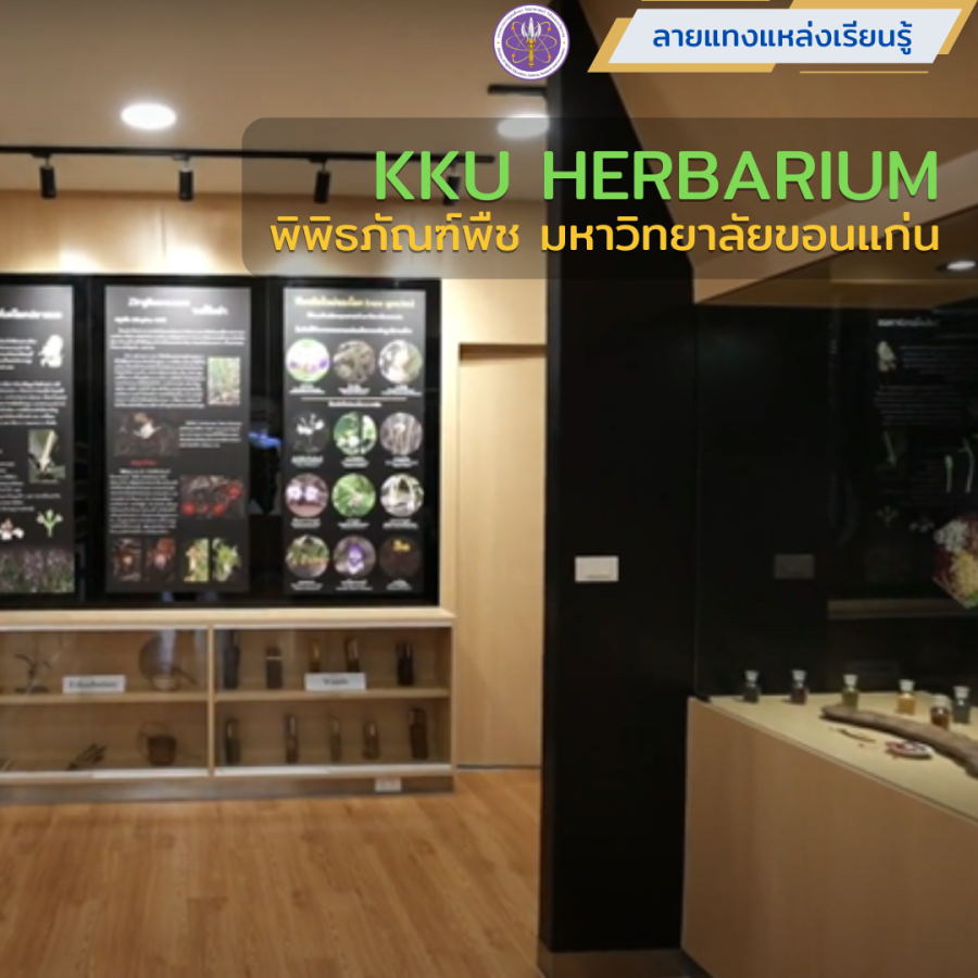 KKU HERBARIUM