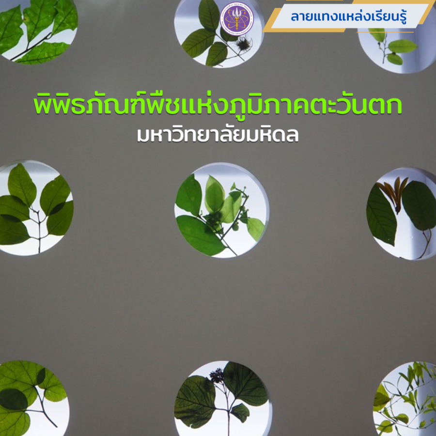 พิพิธภัณฑ์พืชแห่งภูมิภาคตะวันตก