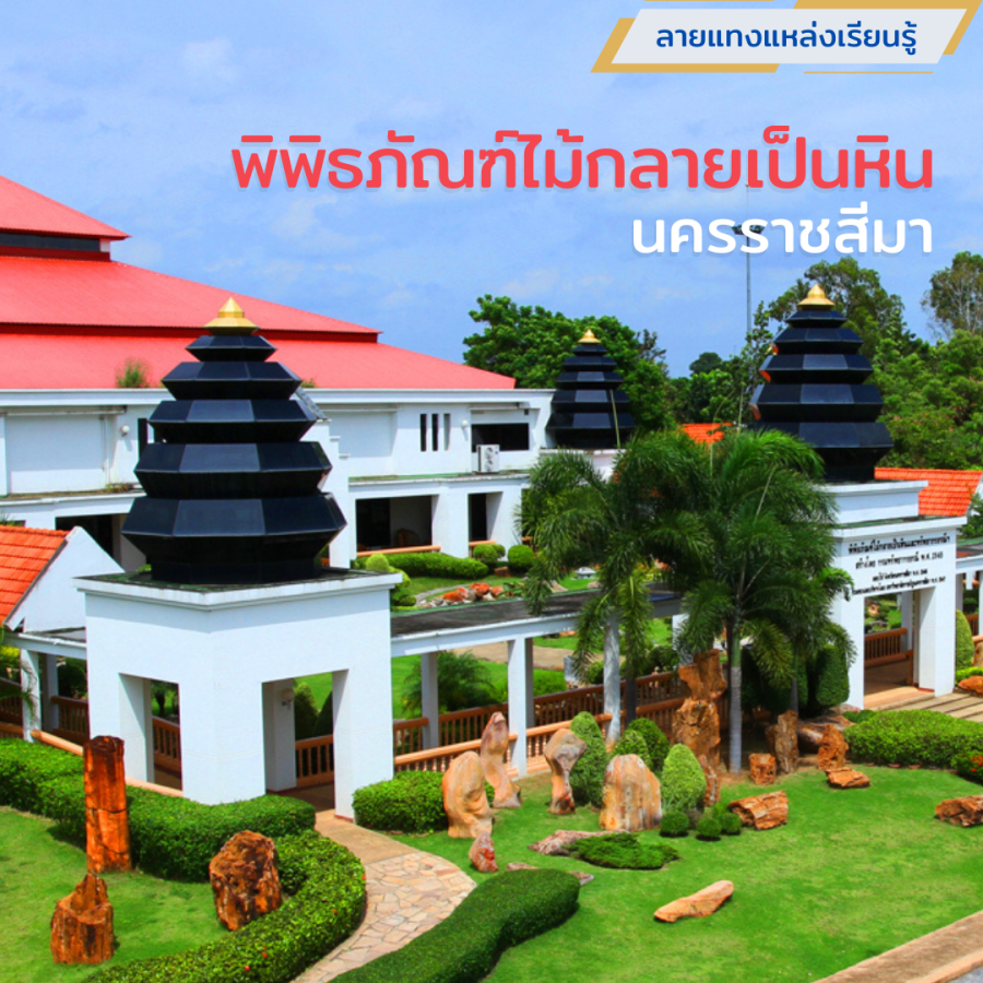 พิพิธภัณฑ์ไม้กลายเป็นหิน