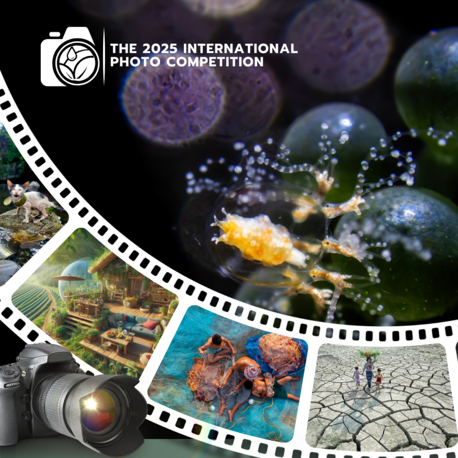 International photo competition
