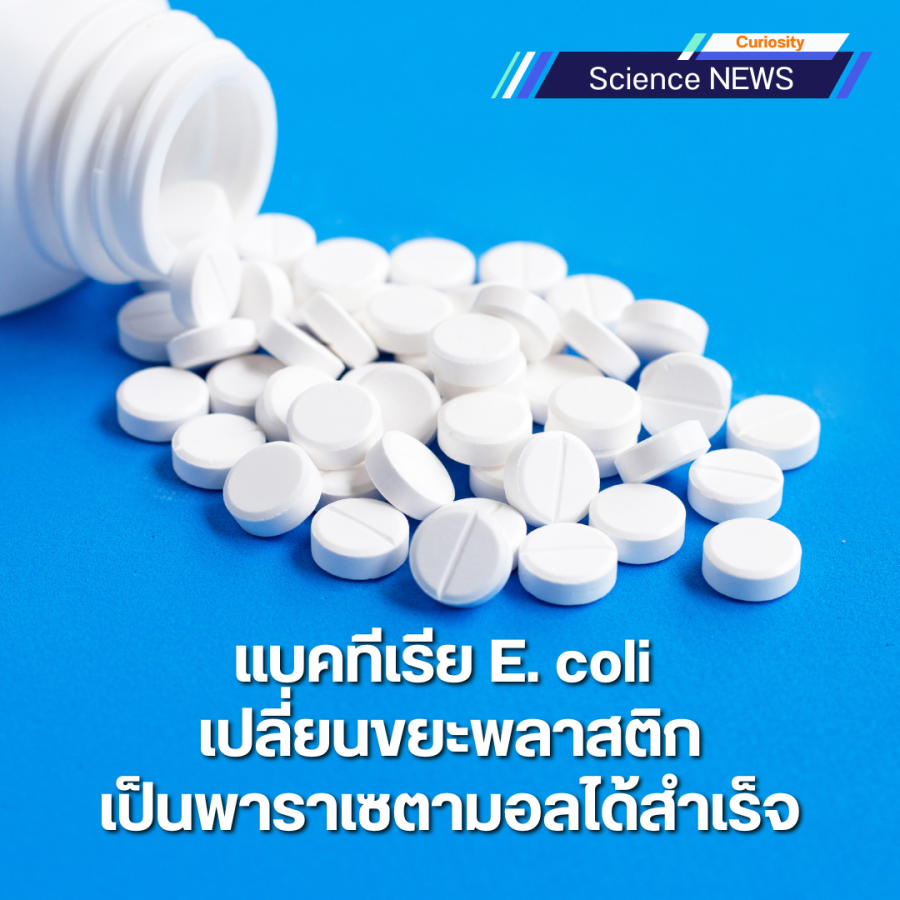 E coli change plastic to be painkiller