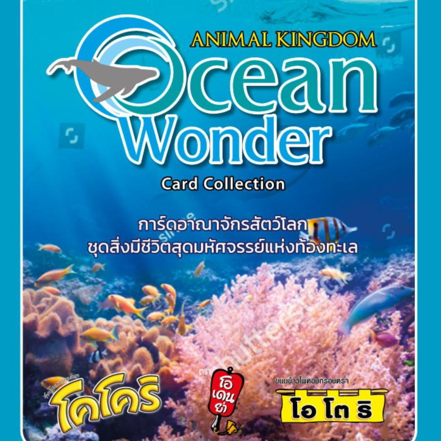 Ocean wonder