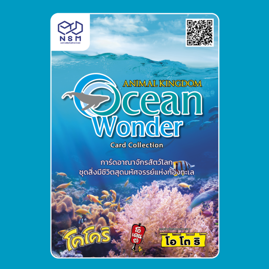 Ocean Wonder Card