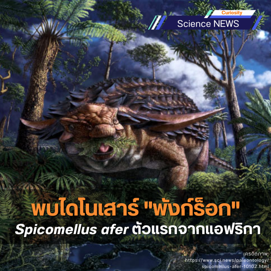 พบไดโนเสาร์ "พังก์ร็อก" Spicomellus afer ตัวแรกจากแอฟริกา