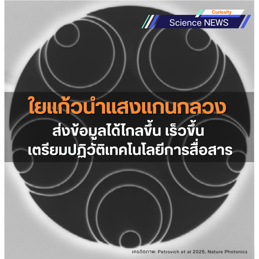 optical fiber