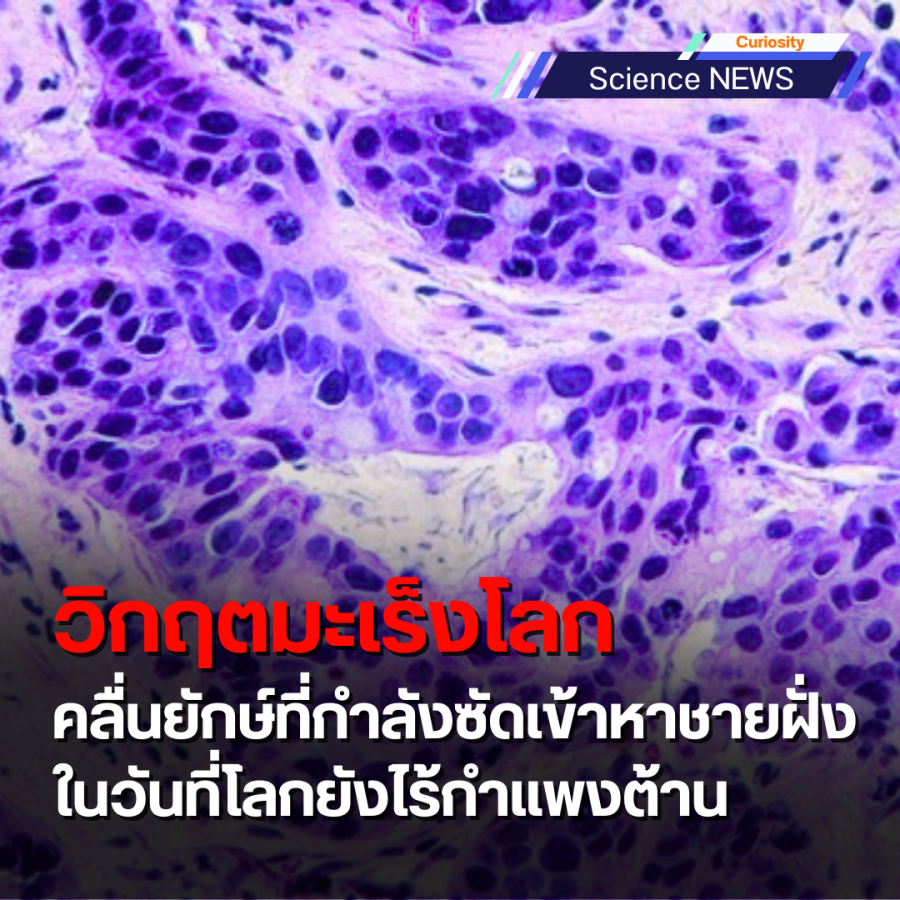 global cancer crisis