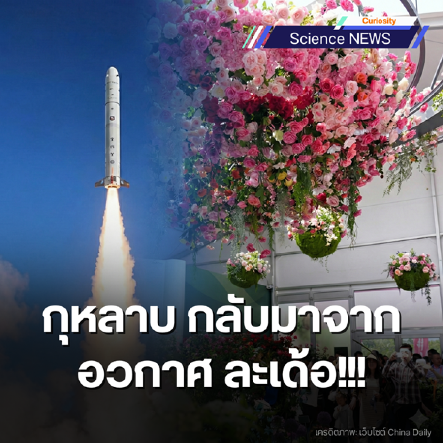 rose seeds return from space