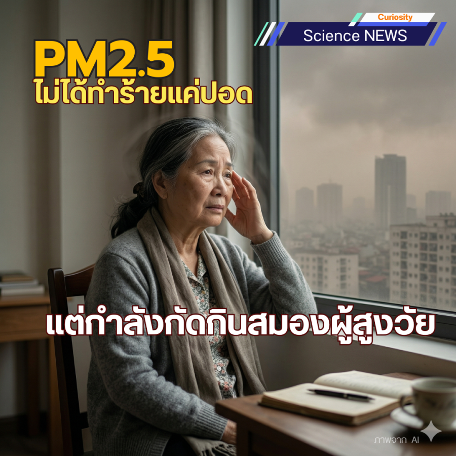 PM2.5 ไม่ได้ทำร้ายแค่ปอด แต่กำลังกัดกินสมองผู้สูงวัย