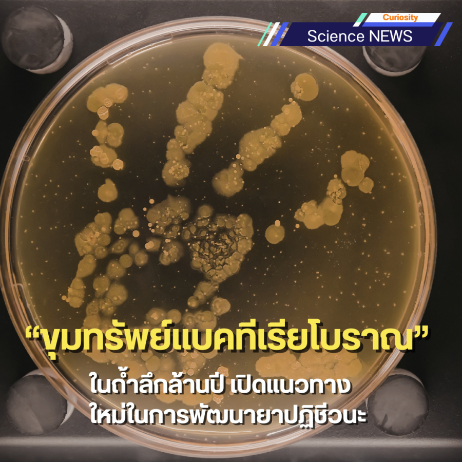 นักวิทยาศาสตร์พบ "ขุมทรัพย์แบคทีเรียโบราณ" ในถ้ำลึกล้านปี เปิดแนวทางใหม่ในการพัฒนายาปฏิชีวนะ