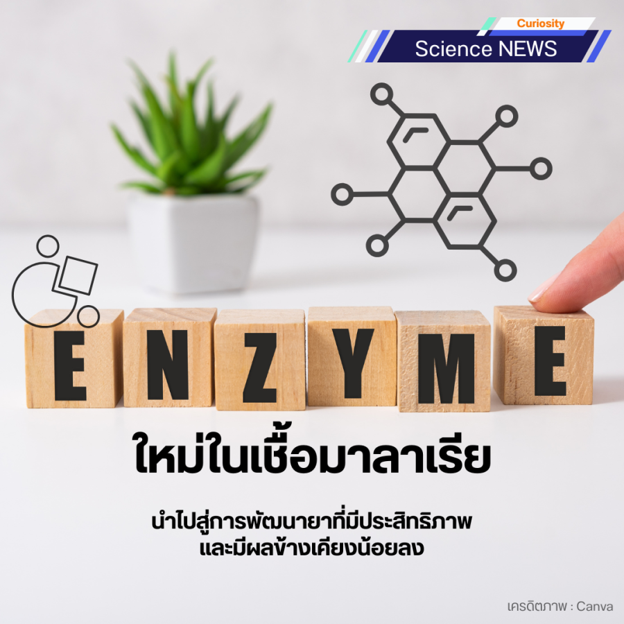 enzyme