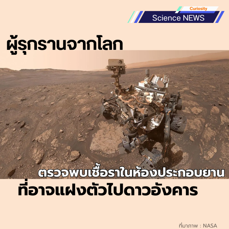 ผู้รุกรานจากโลก ตรวจพบเชื้อราในห้องประกอบยานที่อาจแฝงตัวไปดาวอังคาร