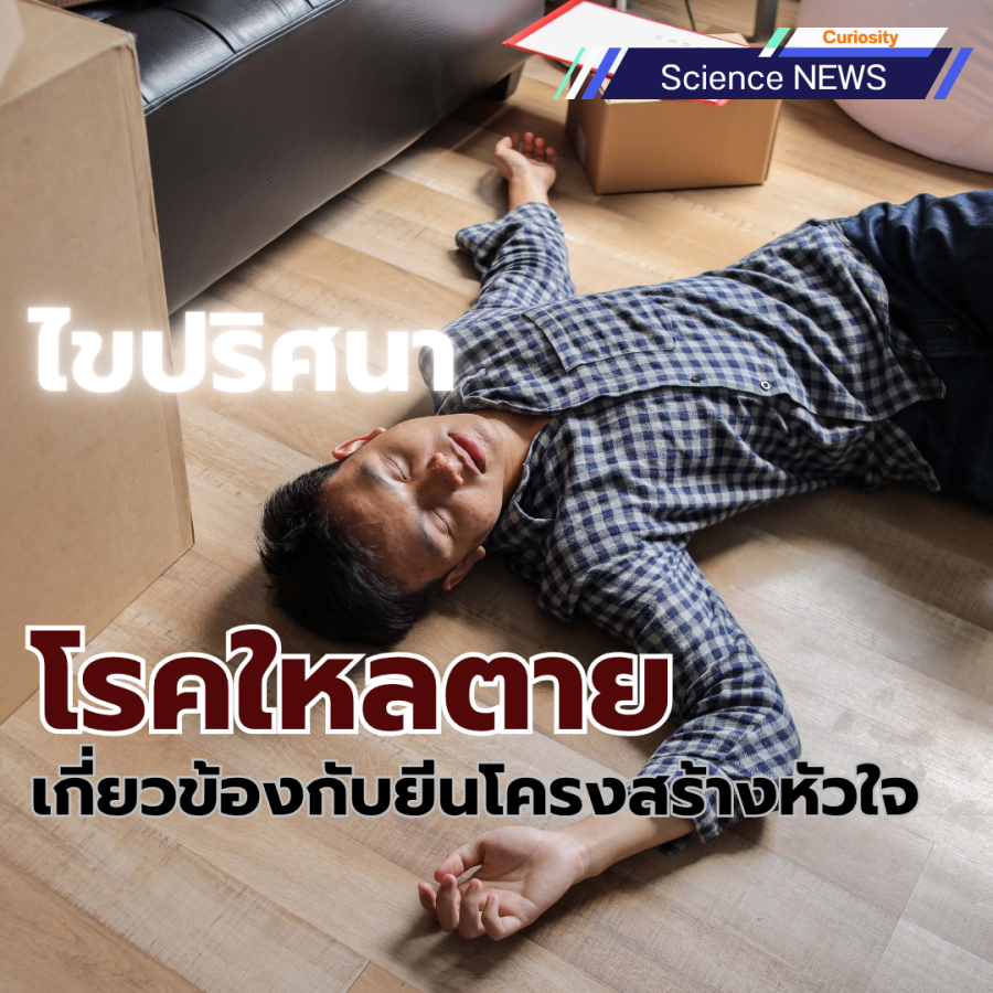 ไขปริศนา โรคใหลตาย เกี่ยวข้องกับยีนโครงสร้างหัวใจ