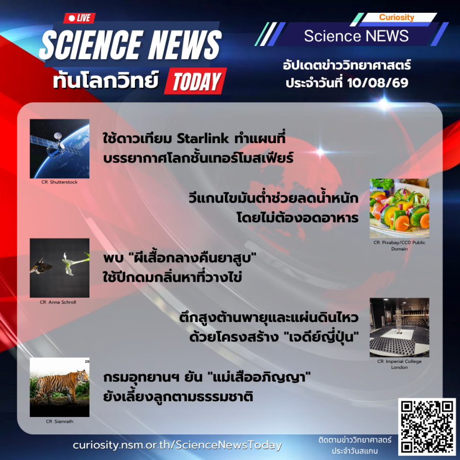 Curiosity Science News Today