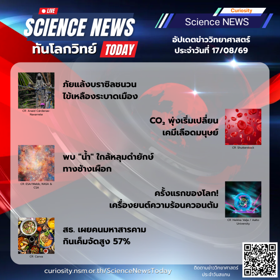 Curiosity Science News Today