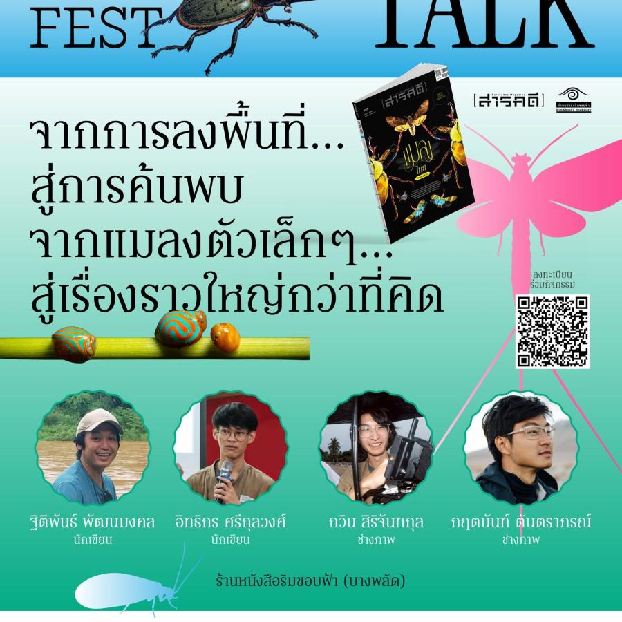 Insect Fest 