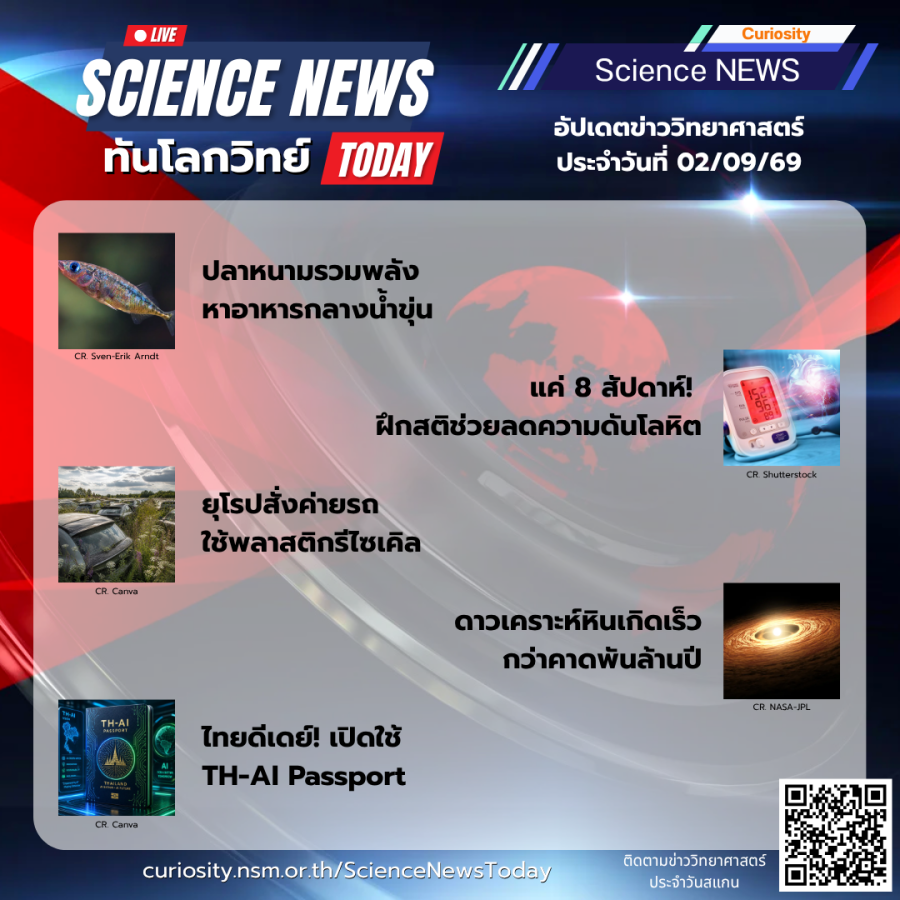 Curiosity Science News Today