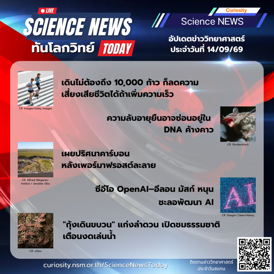 Curiosity Science News Today