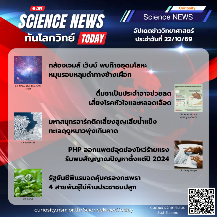 curiosity sci-new today