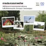 คลองขนมจีน