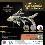 การอบรมเชิงปฏิบัติการ เรื่อง เทคนิคการต่อกระดูกปลาเพื่อการจัดแสดง