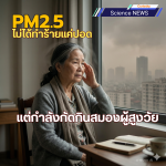 PM2.5 ไม่ได้ทำร้ายแค่ปอด แต่กำลังกัดกินสมองผู้สูงวัย