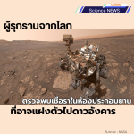 ผู้รุกรานจากโลก ตรวจพบเชื้อราในห้องประกอบยานที่อาจแฝงตัวไปดาวอังคาร