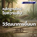 หลักฐานใหม่ ไขความลับ วิวัฒนาการขึ้นบก