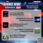 Curiosity Science News Today